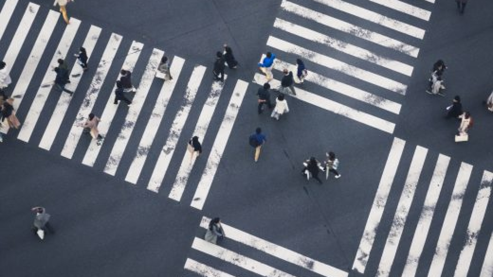 People walking Crossing street Sign Top view Business area