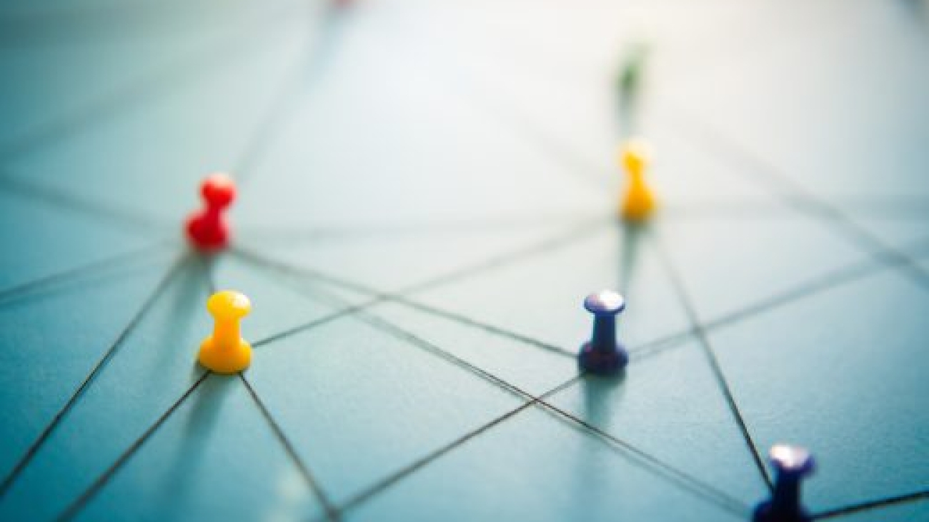 Network with pins, close-up