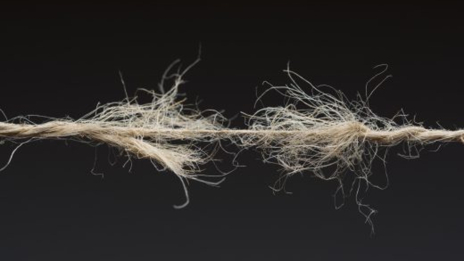 Frayed rope ready to break on dark background