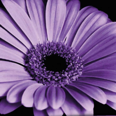 Image for choice number 6